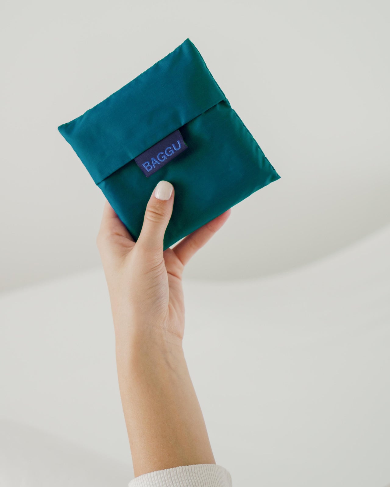Custom Standard Baggu 10 Pack - Malachite