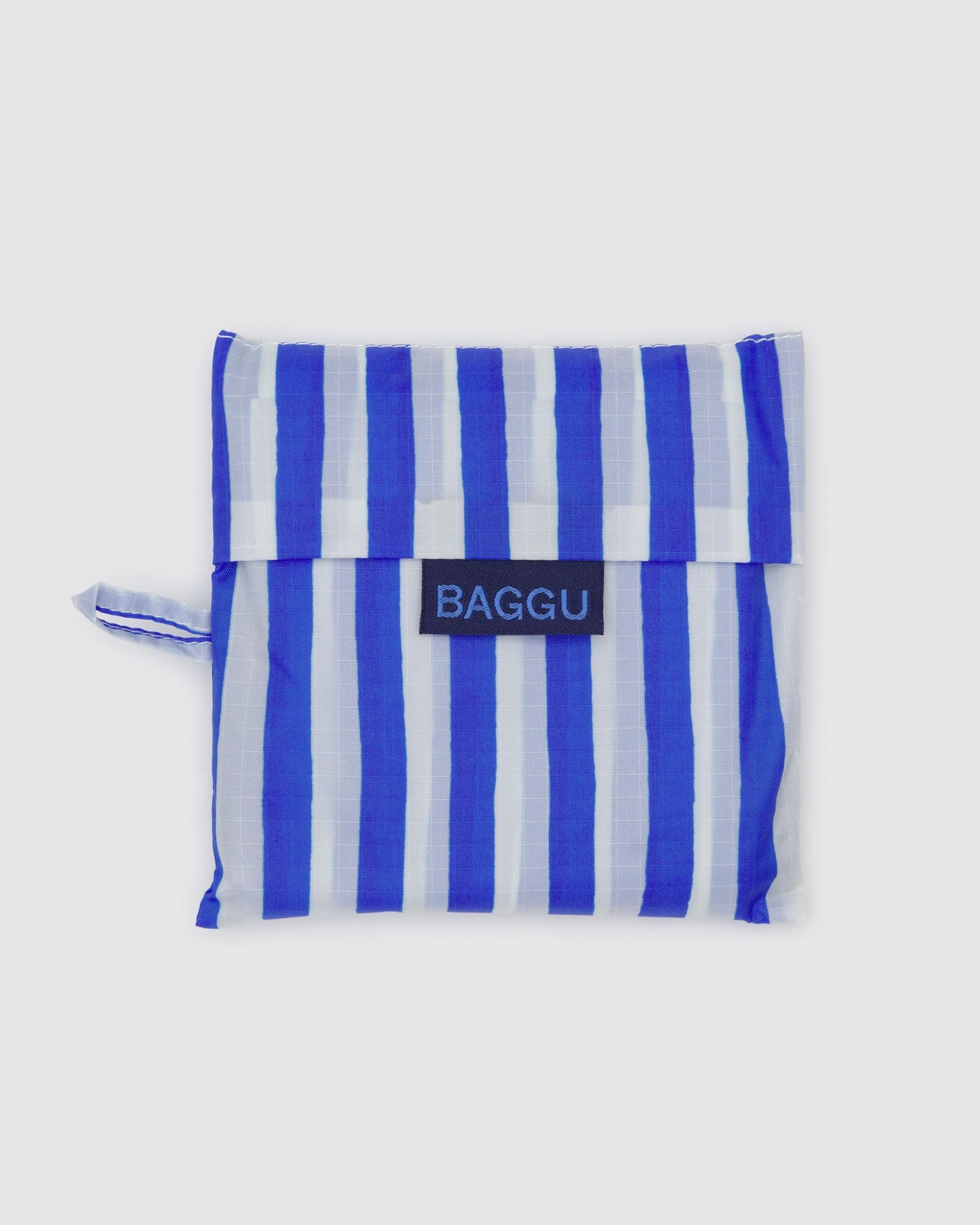 Standard Baggu - Blue Painted Stripe