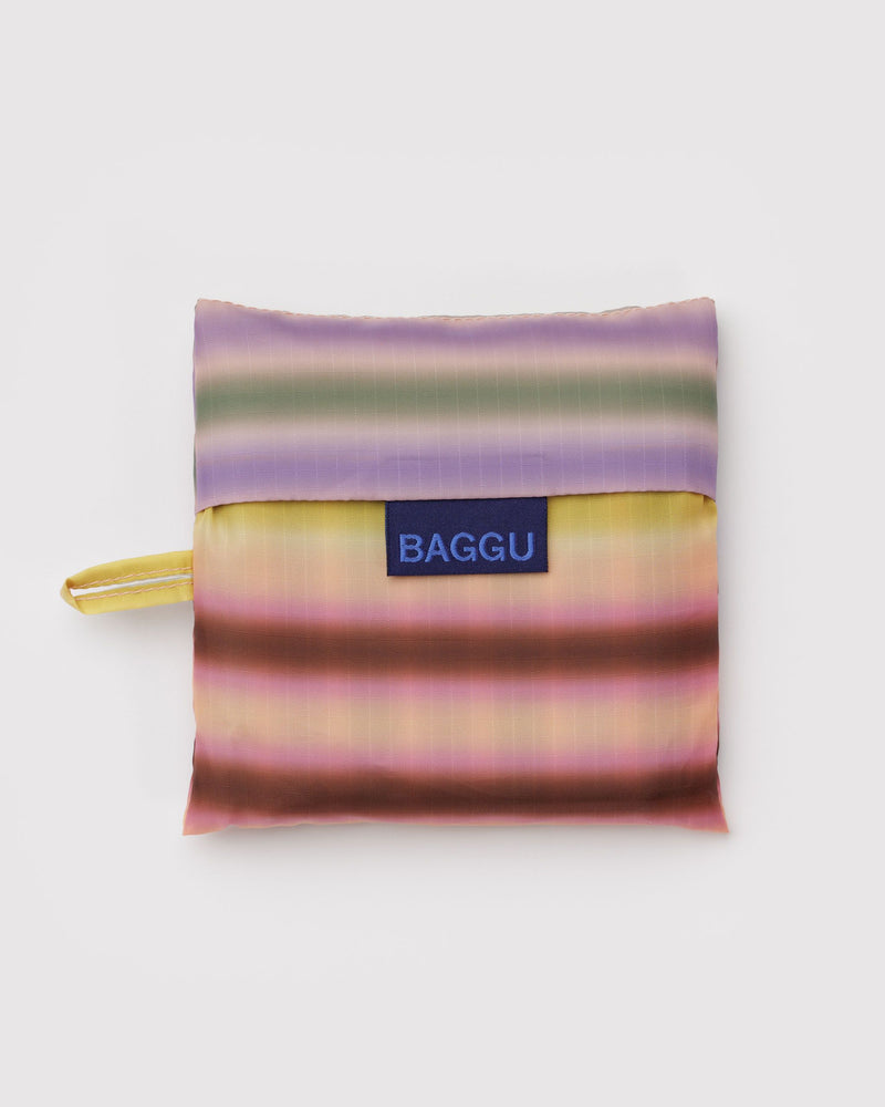 BAGGU Wholesale Shop All Standard Baggu - Gradient Stripe Multi